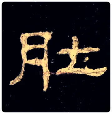 肚毛笔隶书写法,摘自集字集自史晨碑