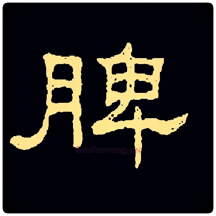 脾毛笔隶书写法,摘自常用字隶辨