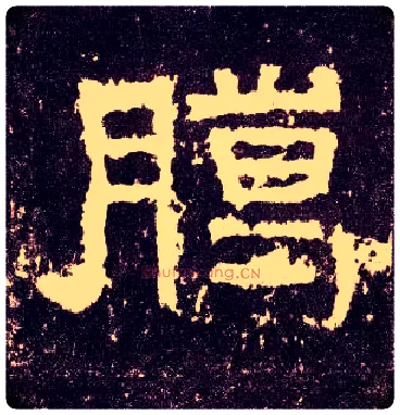臈毛笔隶书写法,摘自汉张迁碑[là]：古同“腊”。