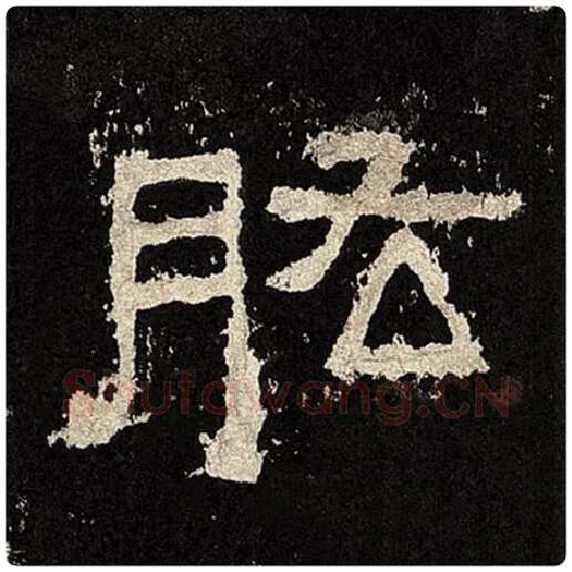 毛笔隶书肱字的写法,摘自书法作品张迁碑