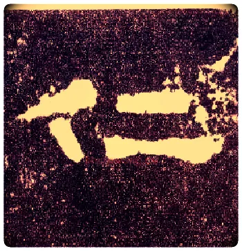仁毛笔隶书写法,摘自汉张迁碑