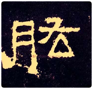 肱毛笔隶书写法,摘自汉张迁碑