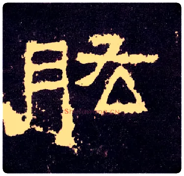 肱毛笔隶书写法,摘自汉张迁碑