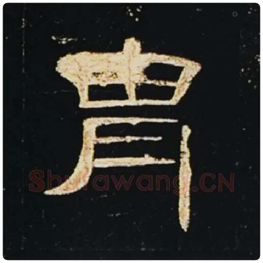 王敞毛笔隶书胄字的写法,摘自王敞书法作品曹全碑