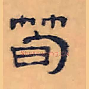 筍