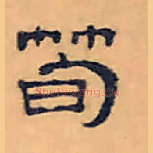 筍