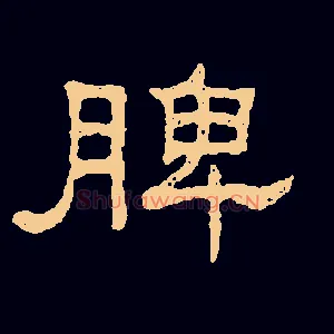 脾