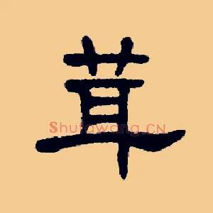 茸