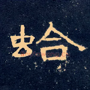 蛤