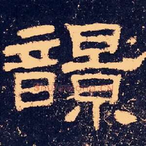 𩐿