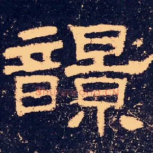 𩐿
