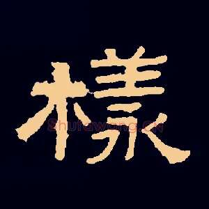 樣
