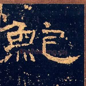 鮑