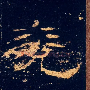兖