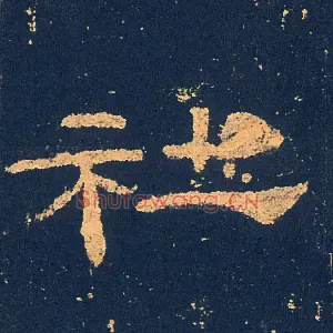 社
