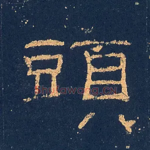 頭