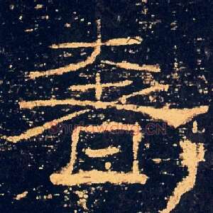 奢