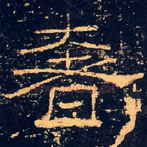 奢