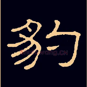 豹