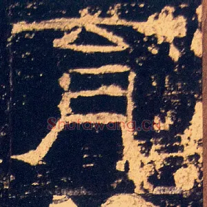 育