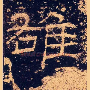 雄