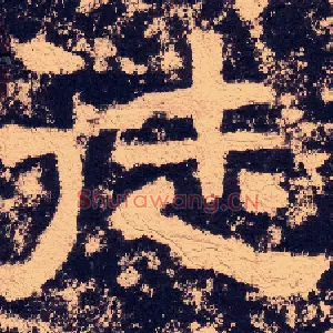 徒