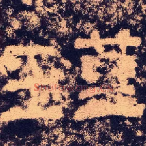 瑾