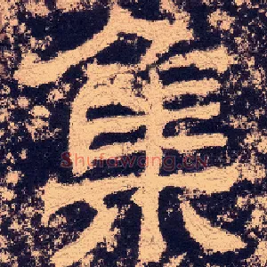 集