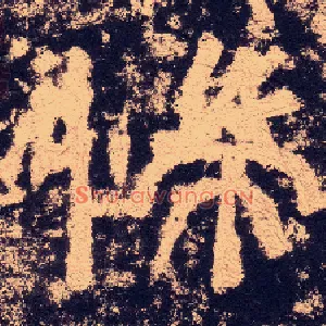 惴