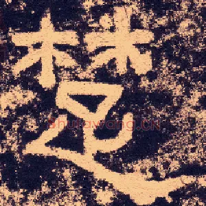 楚