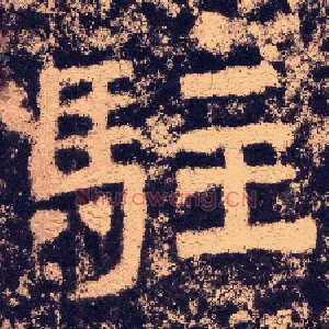驻