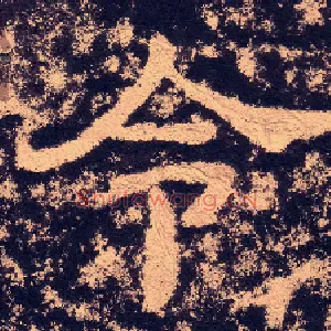 令