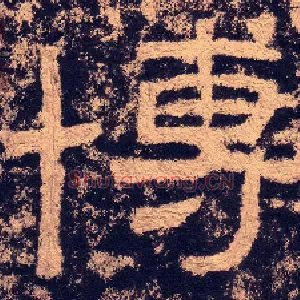 博
