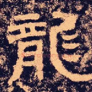 龍
