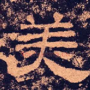 美