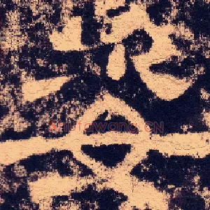 姿