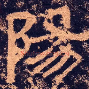 陽