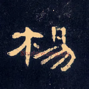 杨