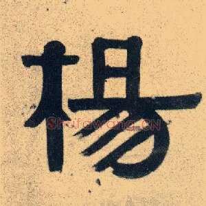 杨