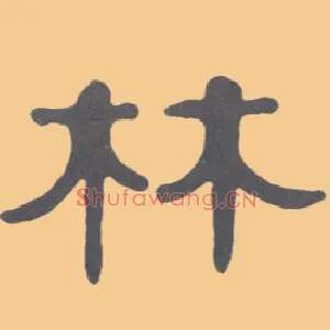 林