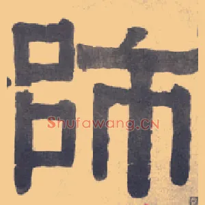师