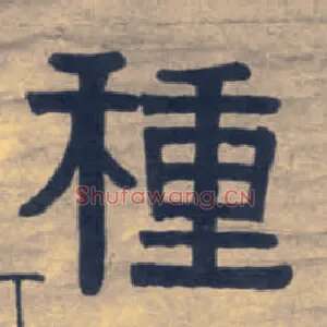 种