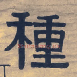 种