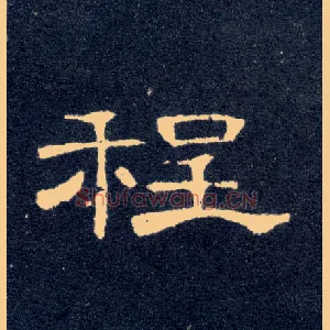 程