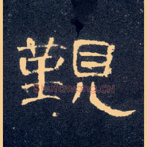 觐