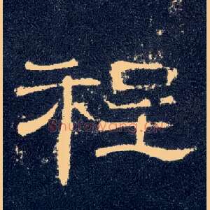 程