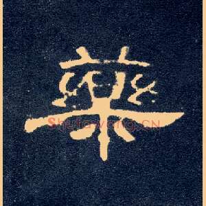 药