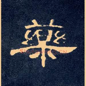 药