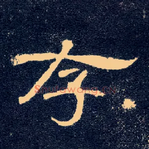 存
