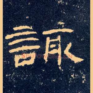 诹